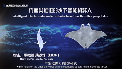 【第十六届公众科学日】科技影音厅：《海洋奇兵》——水下智能仿生机器人