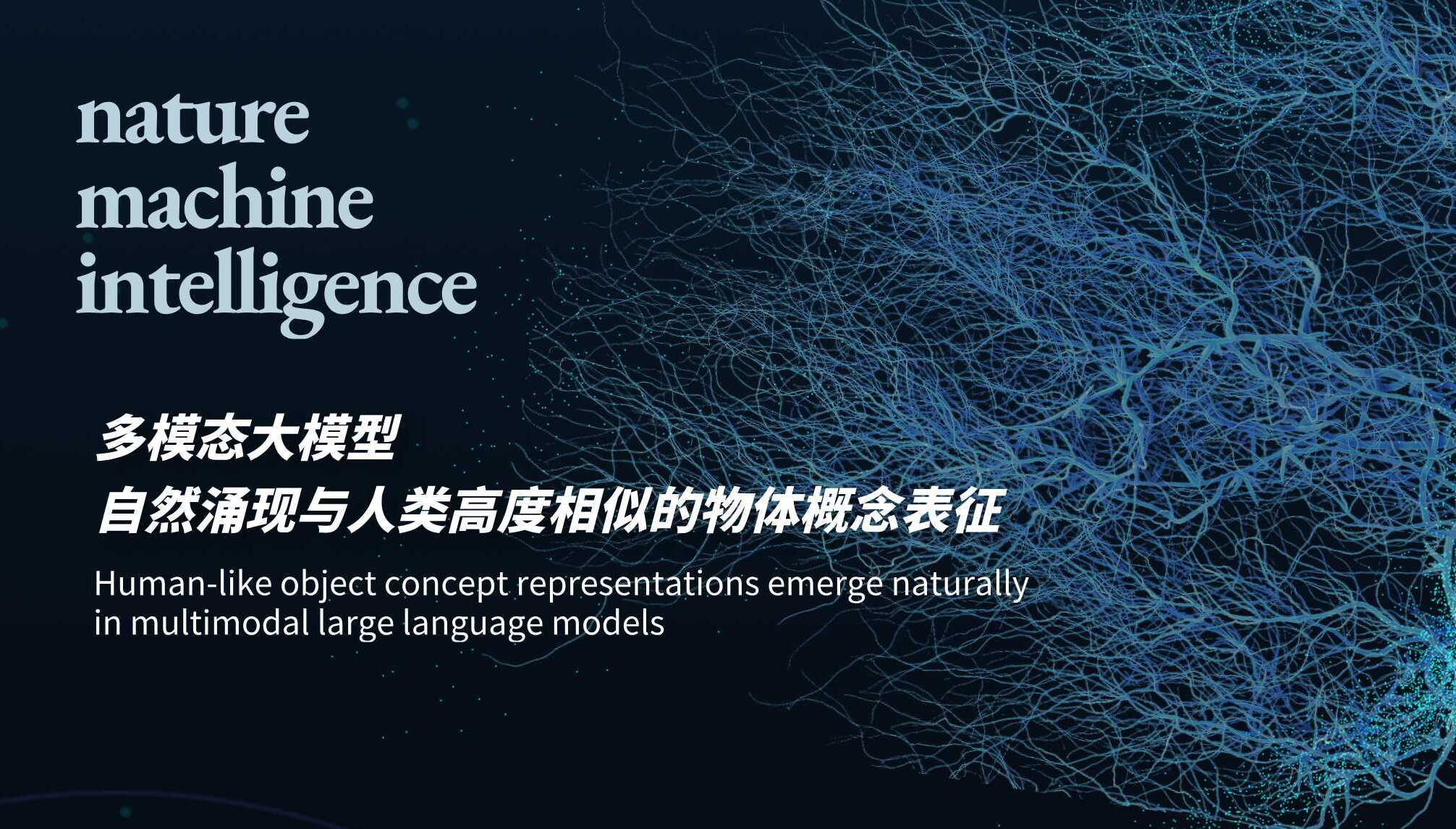 研究揭示多模态大模型涌现类人物体概念表征