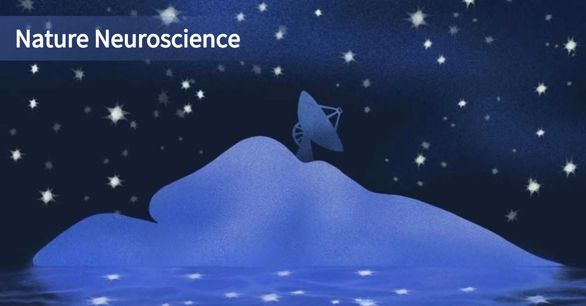实感智能计算系统实现全脑光学接口虚拟现实和全脑闭环研究新范式