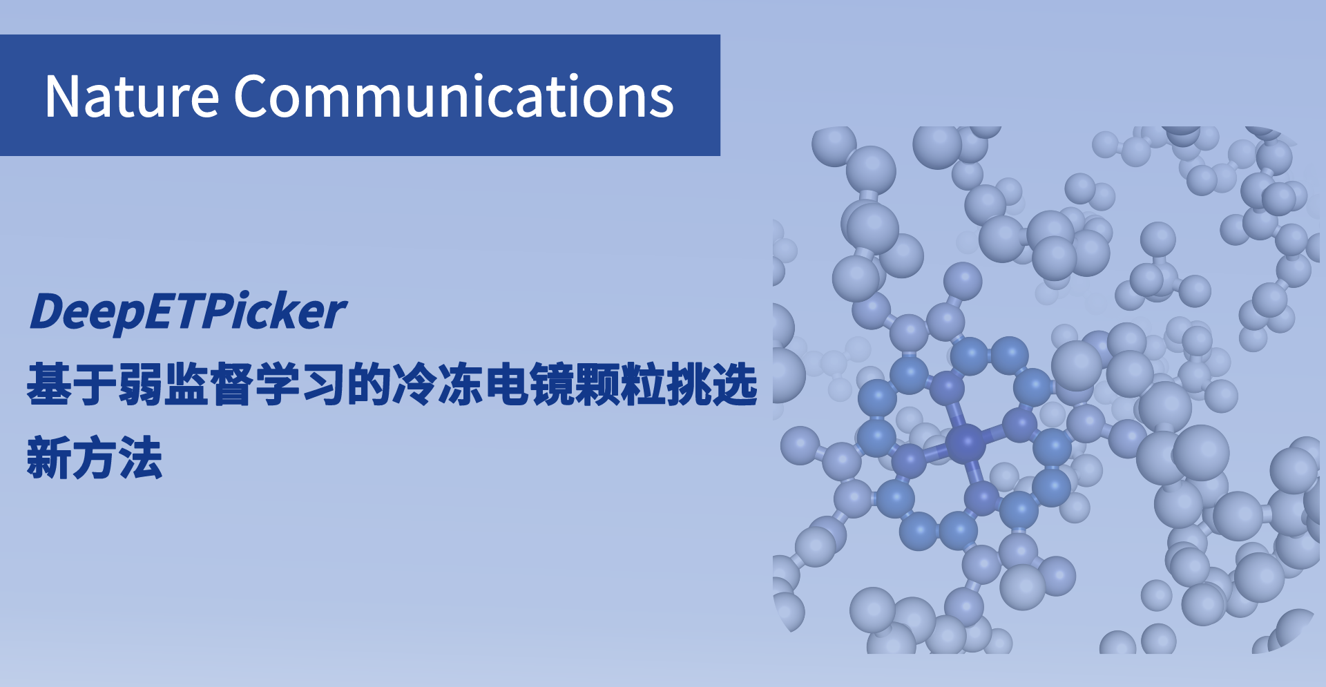 人工智能赋能原位结构生物学，研究提出基于弱监督学习的冷冻电镜颗粒挑选新方法
