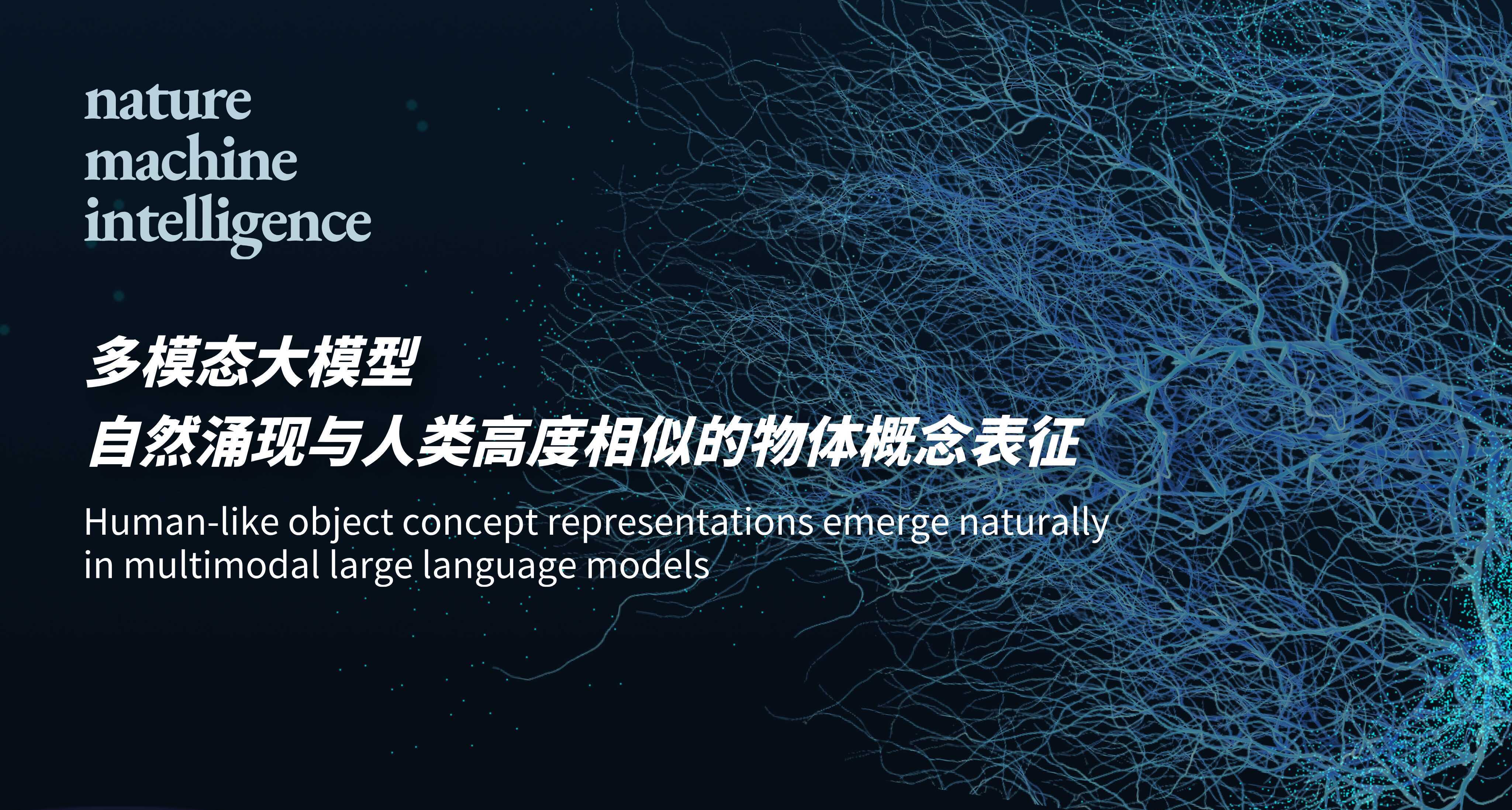 研究揭示多模态大模型涌现类人物体概念表征